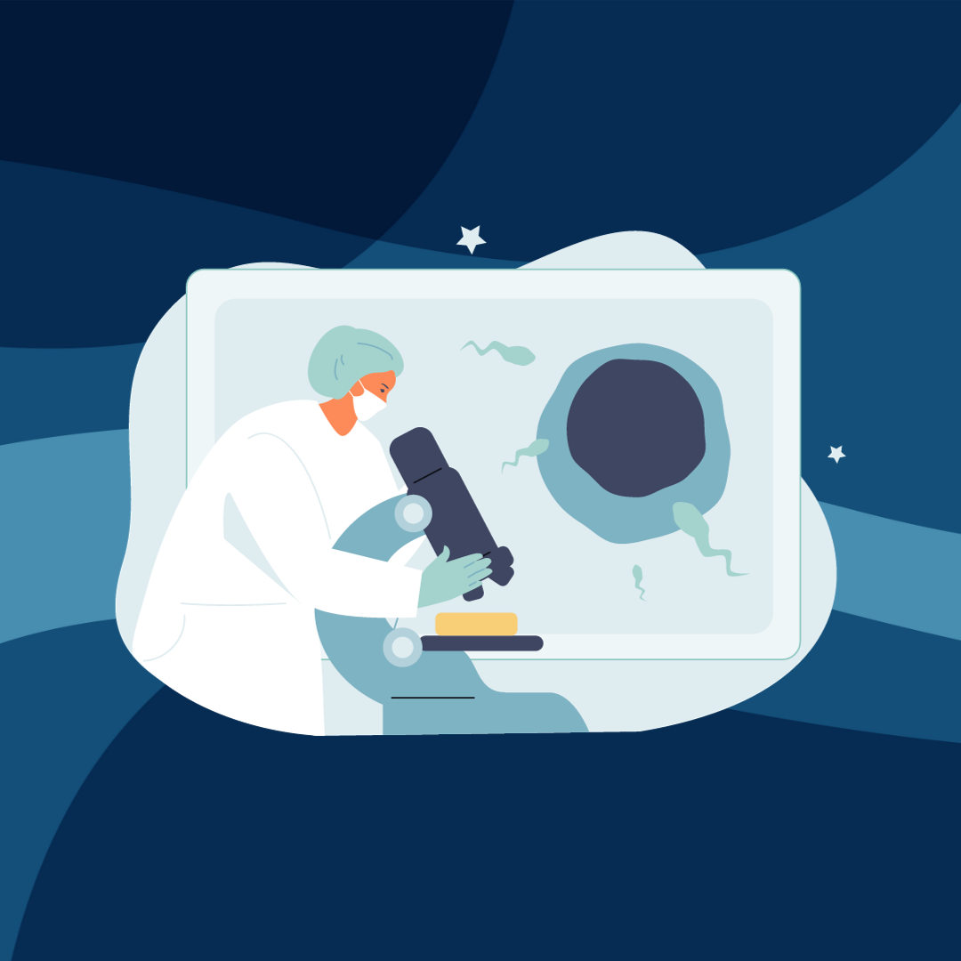 Graphic showing a person in white lab coat looking into a microscope next to an enlarged image of egg and sperm