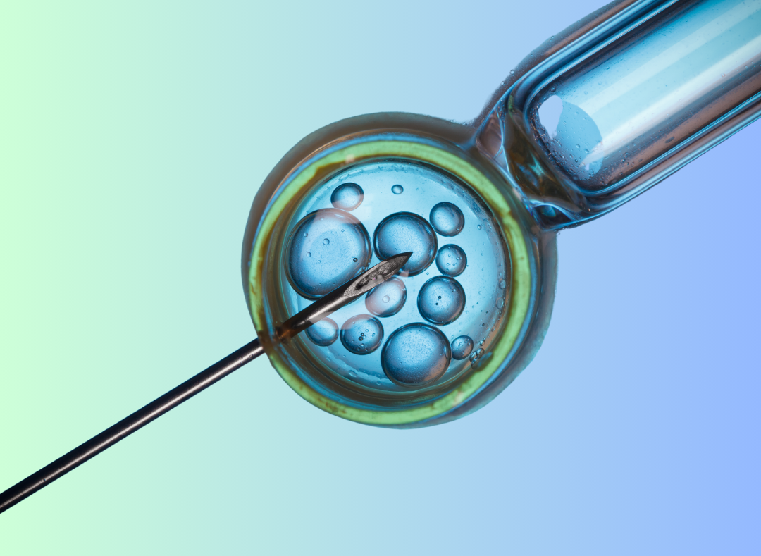 rendering of ivf process with Petri dish