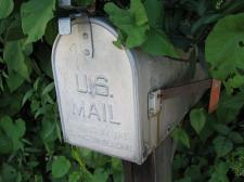 Silver US Mail box, with the statement, "Approved by the Post-Master General." In the background of mailbox are leaves from a bush.