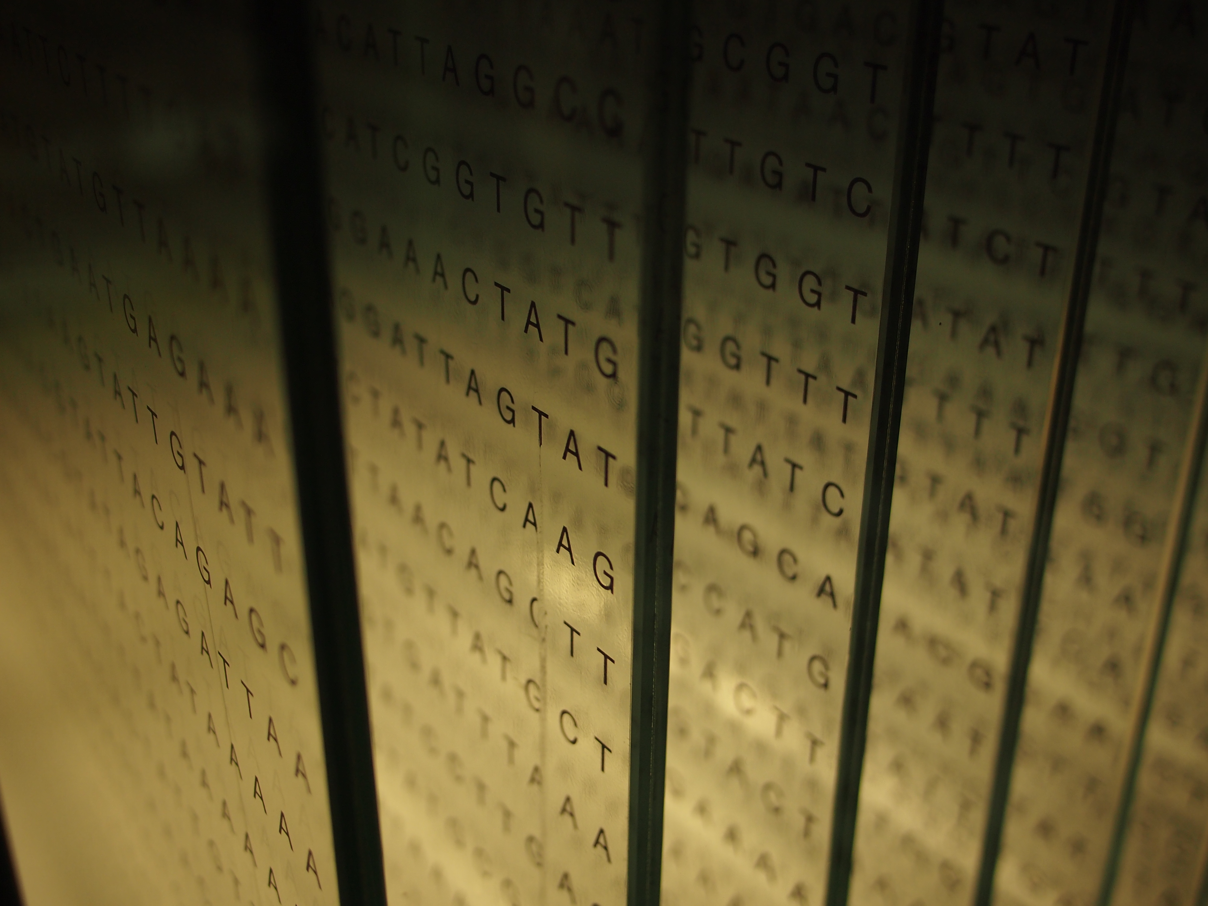 Four transparent panels displaying letters "ATCG (representing DNA bases).
