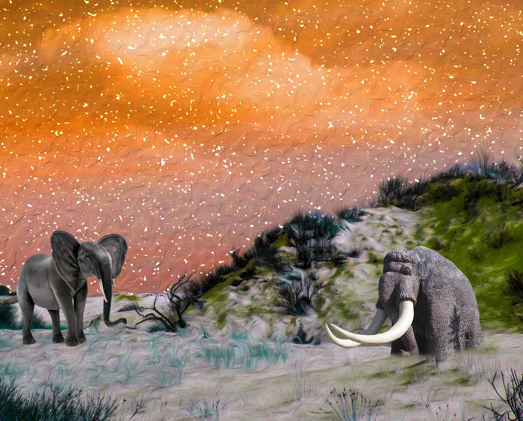 a wooly mammoth and a modern elephant stand at opposite ends of a photo with trees on the right and a bright orange sunset behind both.