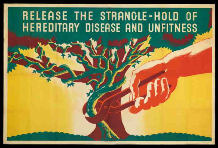 a tree and pruning image representing the eugenics movement