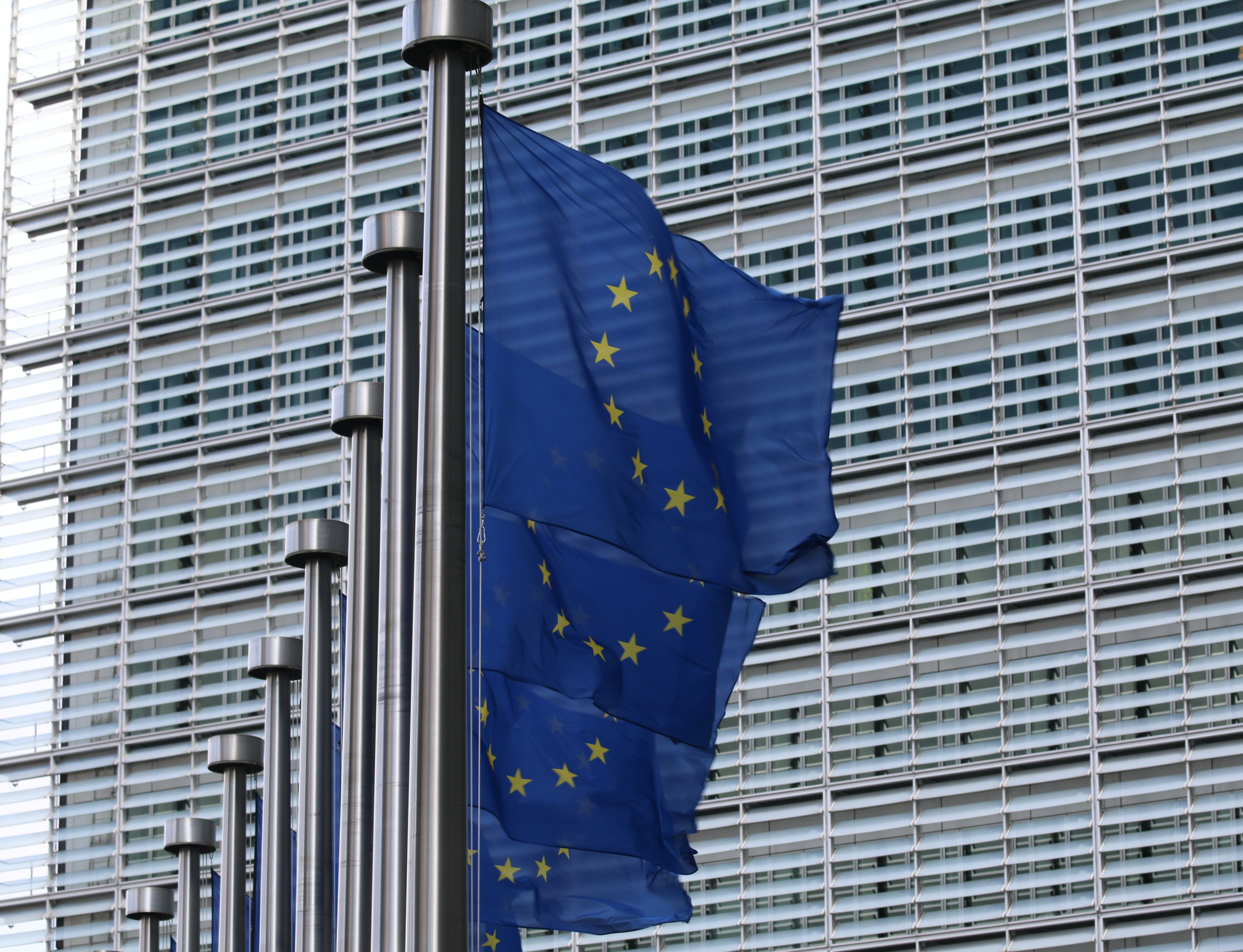Image of the EU flags