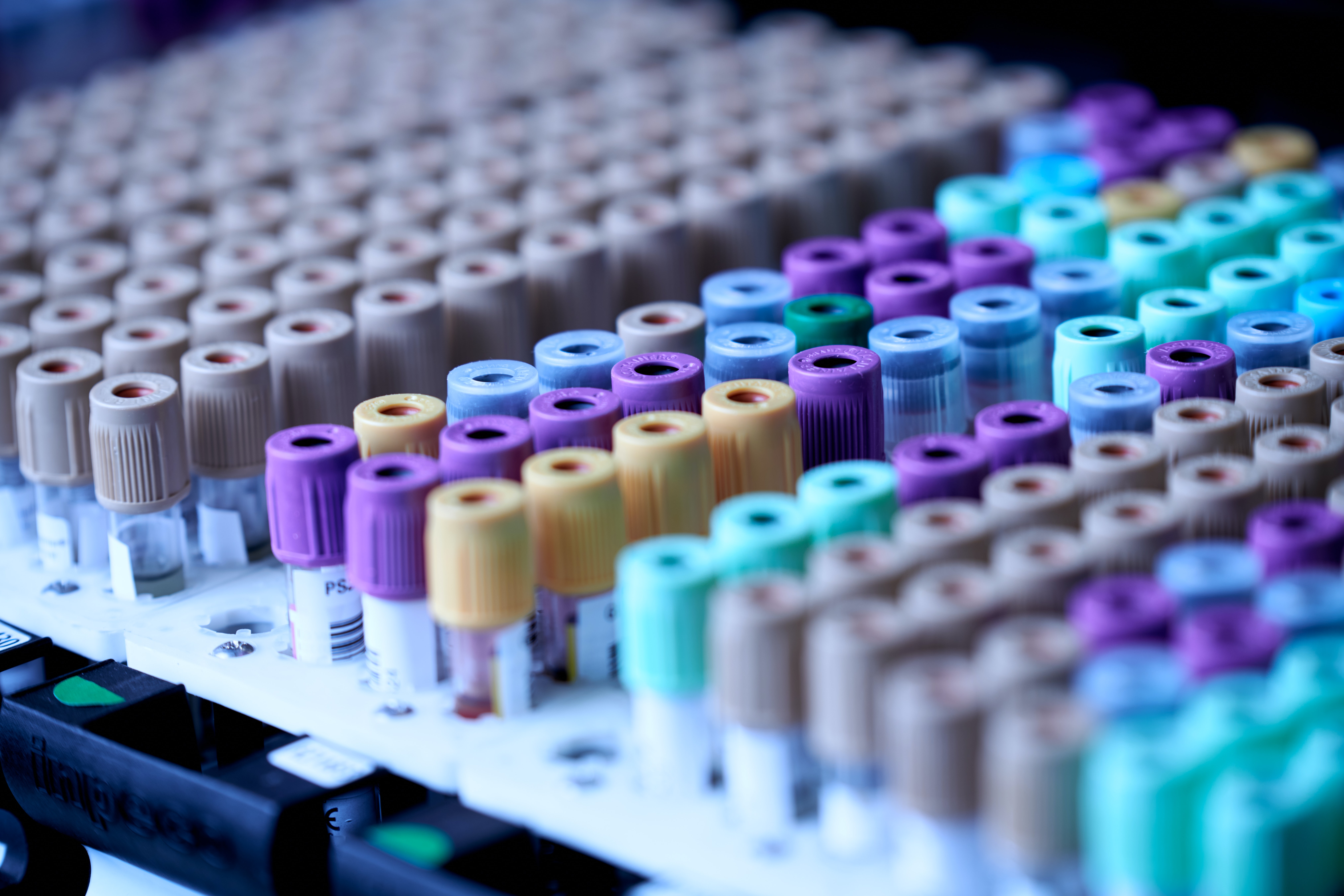 Image of a tray of test tubes