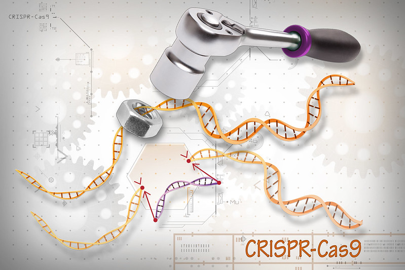 A wrench on top of the human genome to symbolize gene editing
