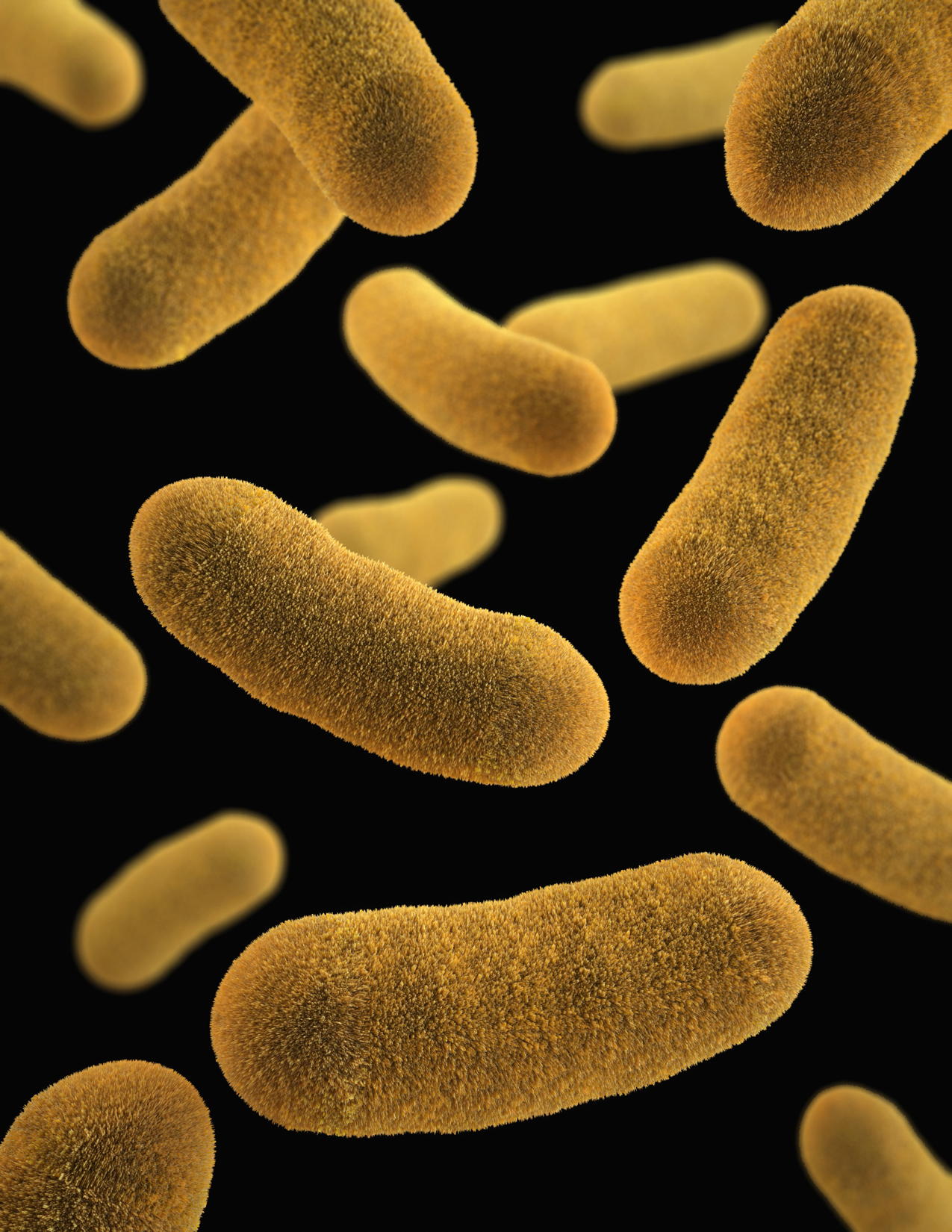 yellow long oval shaped organisms on a black background