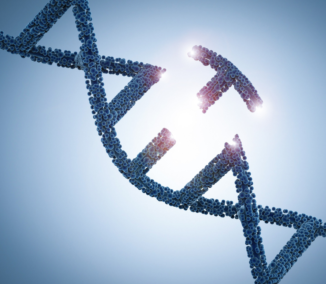 CRISPR graphic