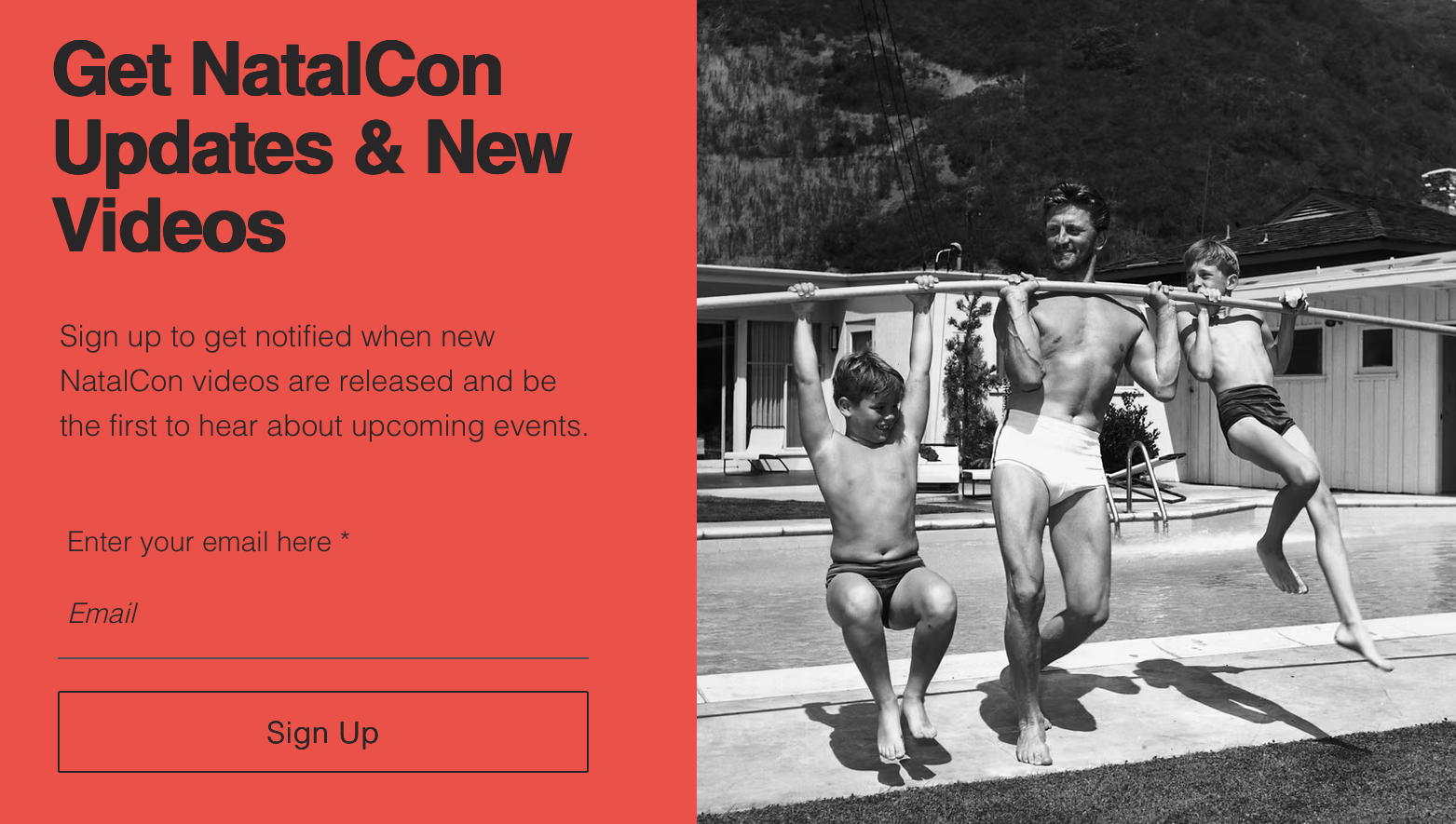 Promotional image from Natalism.org