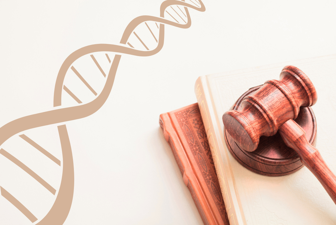 gavel dna graphic