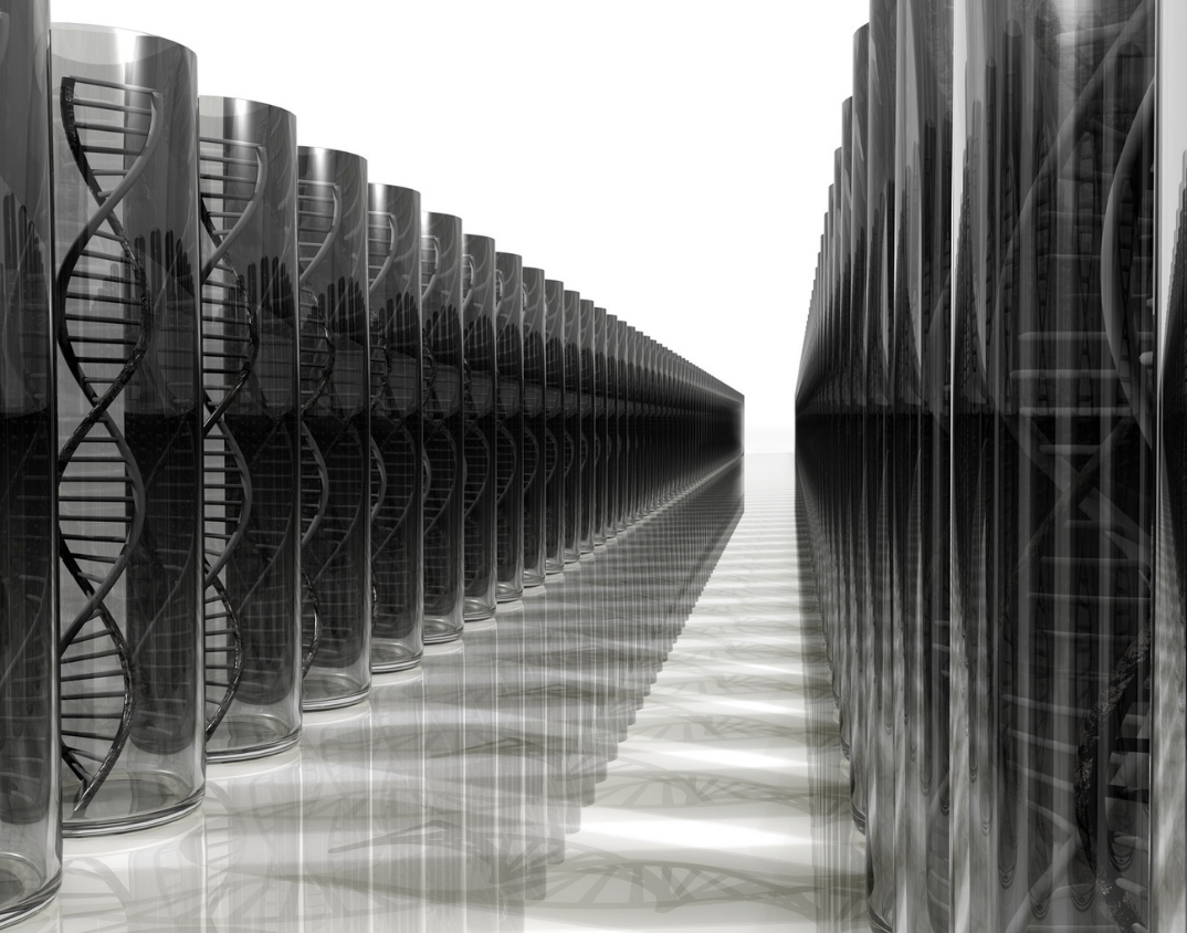DNA database graphic