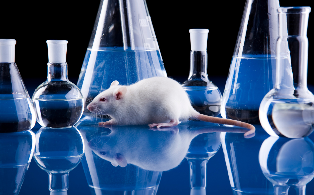 mouse in lab graphic