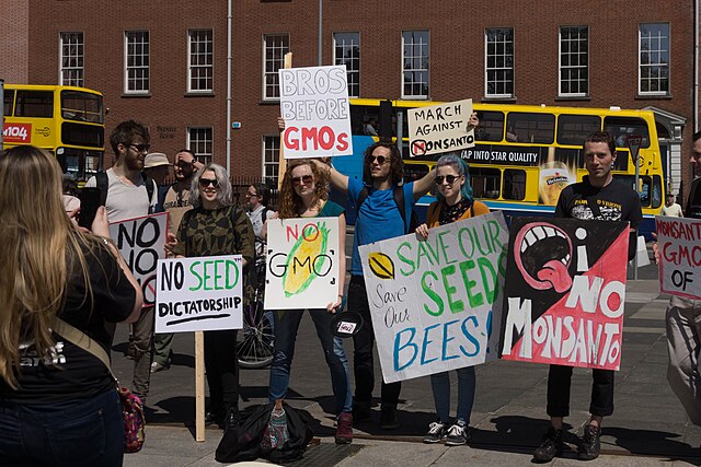 Protesting Against Monsanto and GMOs