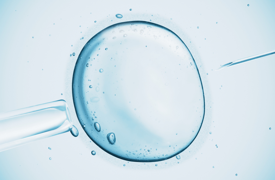 IVF graphic that is blue and grey