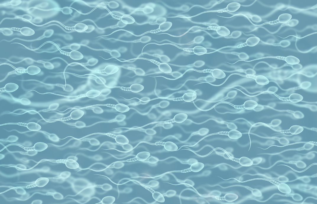 sperm on blue background 
