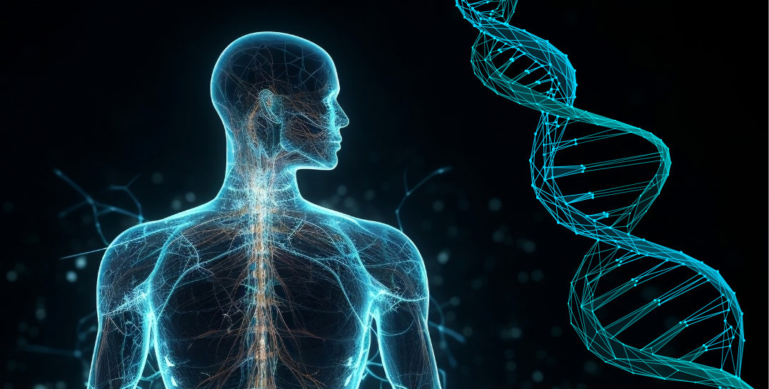 body and DNA graphic