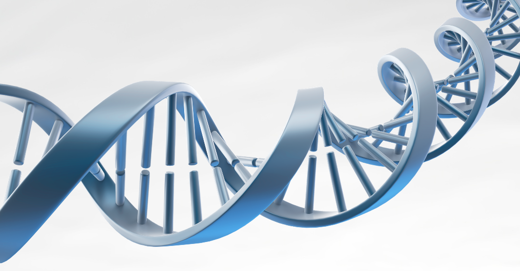 DNA strand