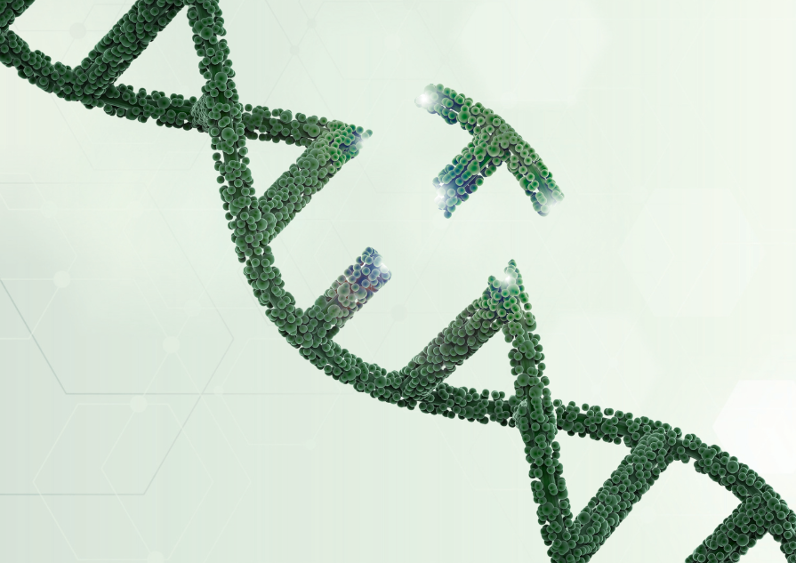 gene editing graphic