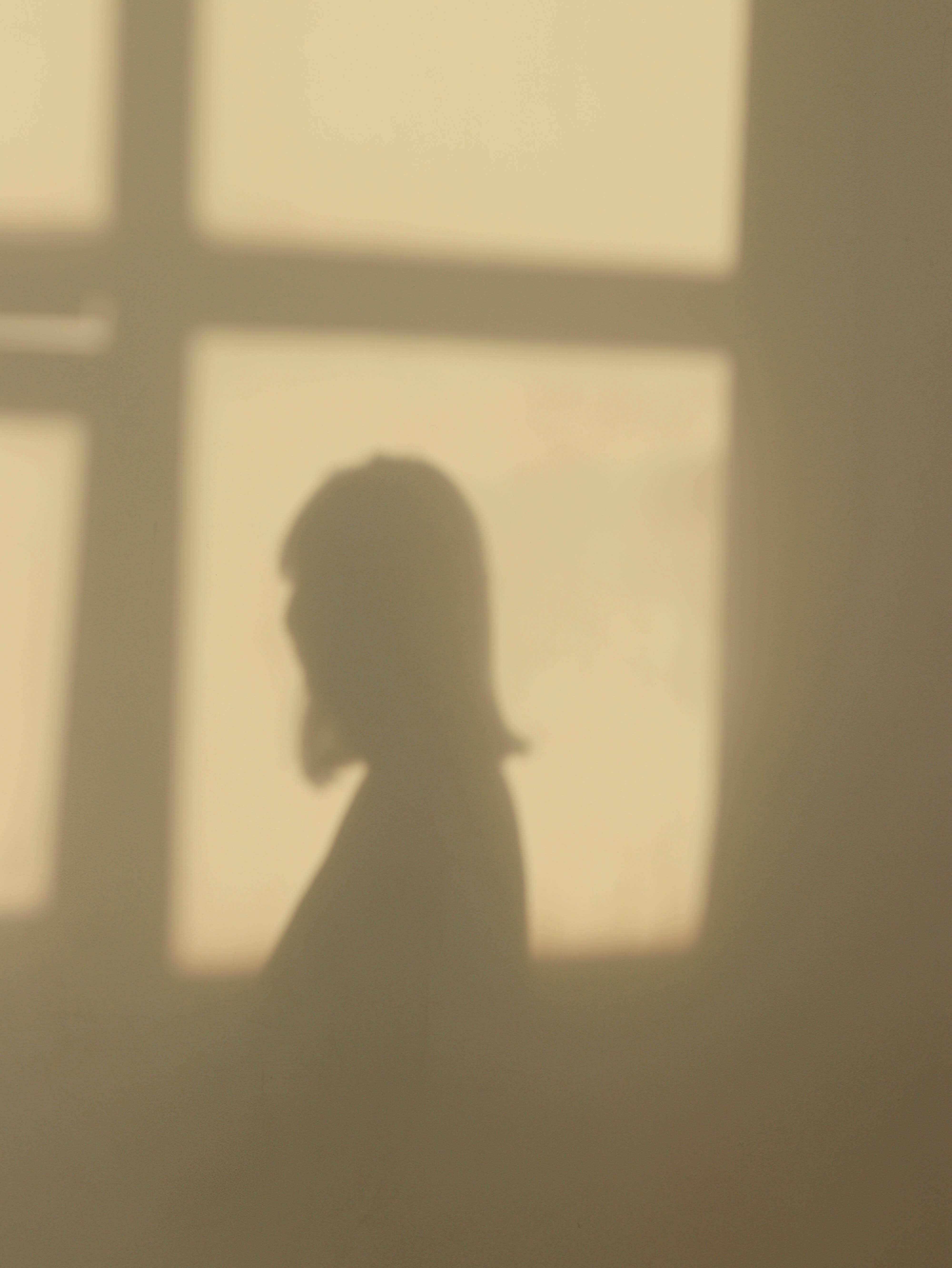 silhouette of a woman and a window