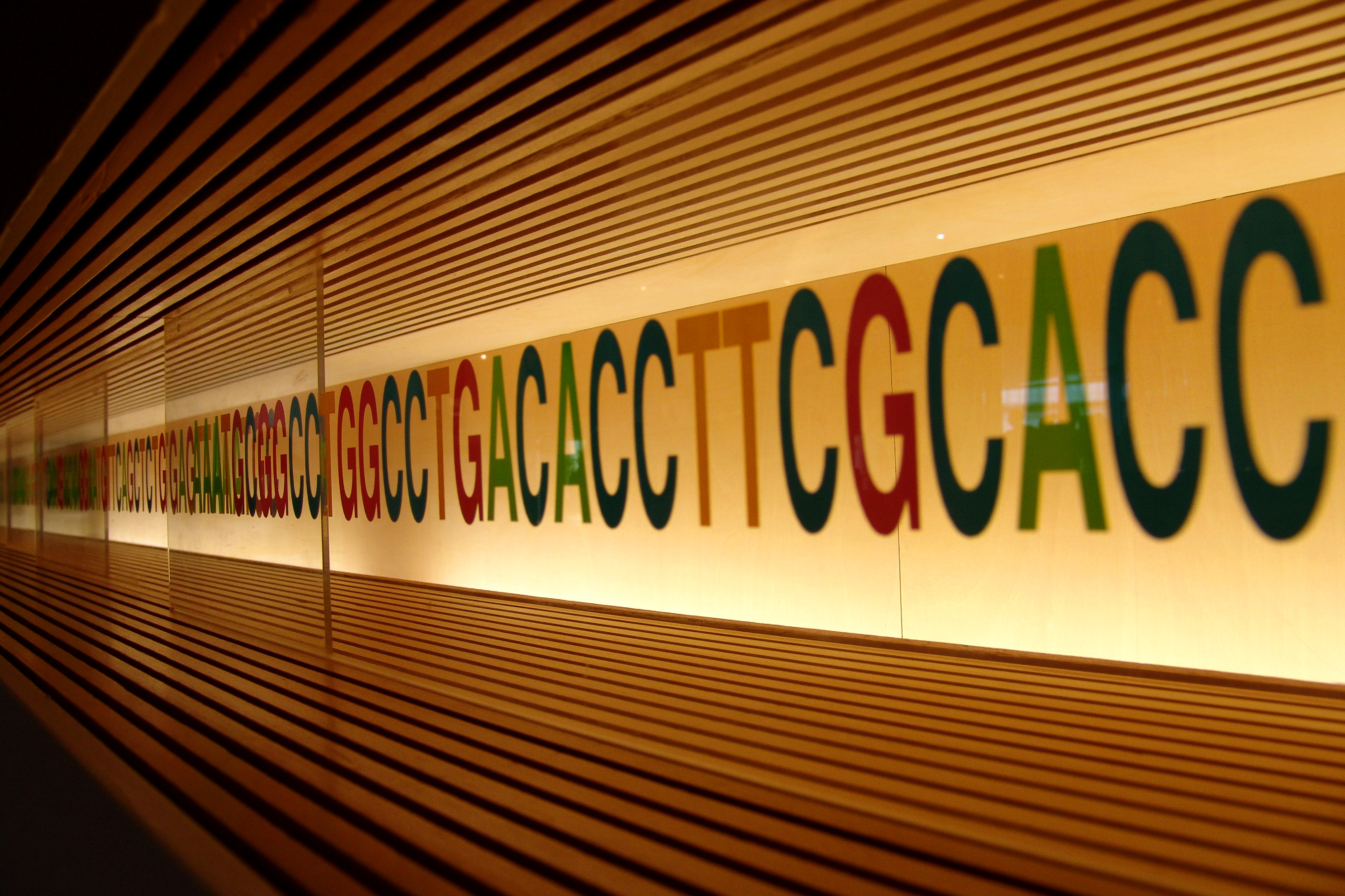 Wall display featuring large letters of ATCG in various colors. Behind, they are illuminated by a light.