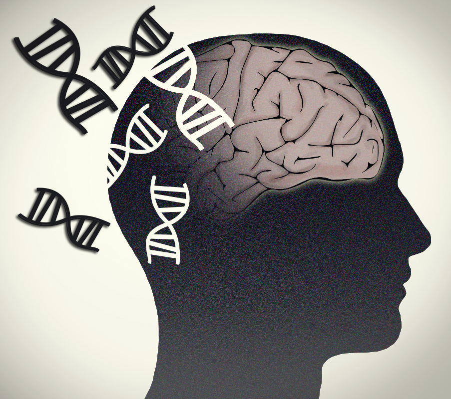 An illustrated graphic of a side-view of a human head. Their brain appears with six small double helix icons on the side.