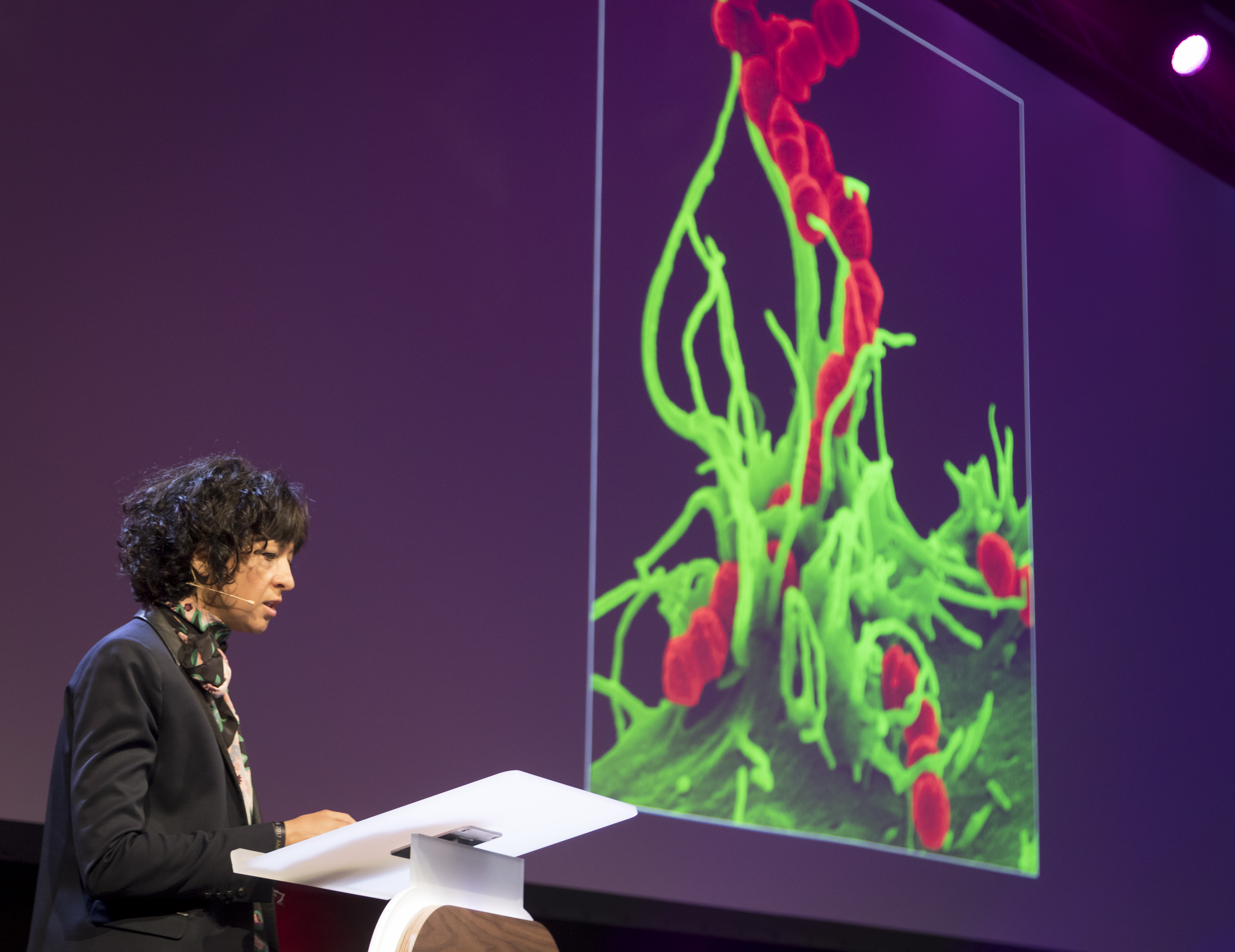 Photo of Charpentier presenting, with a picture of microscopic cells in the background.