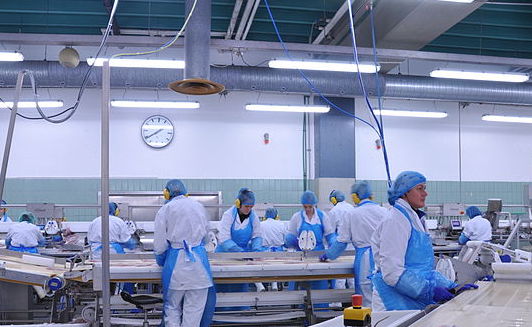 Group of employees laboring over assembly line.