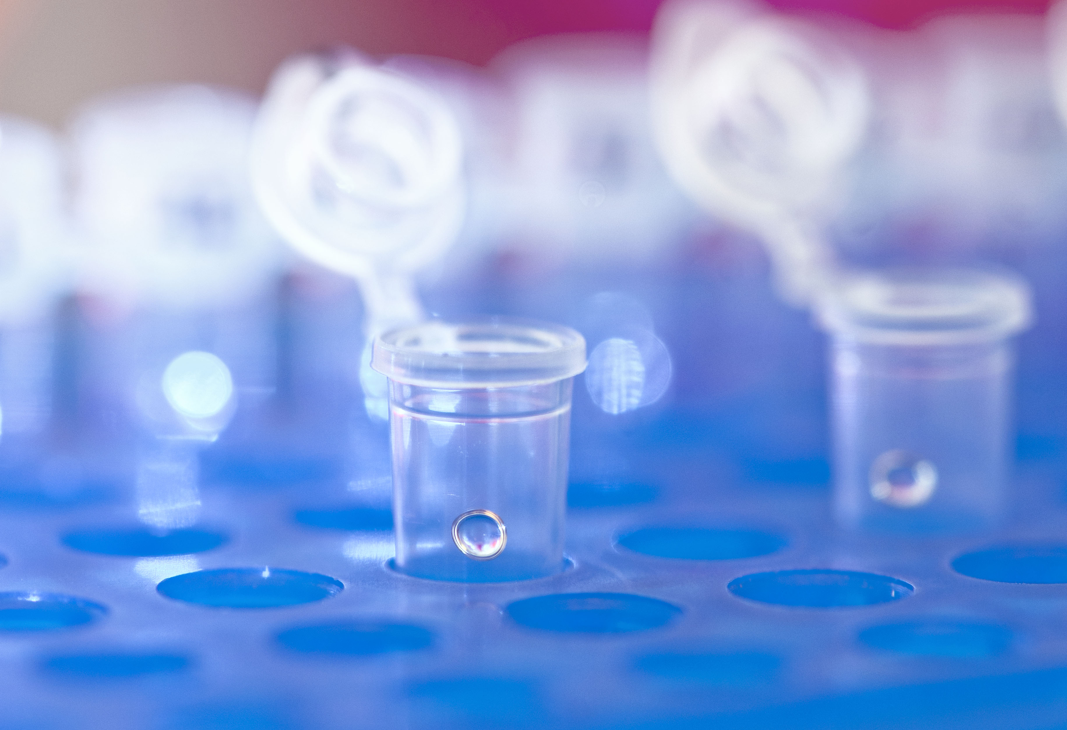 Several containers, with clear liquid are placed side by side in a test tube rack.