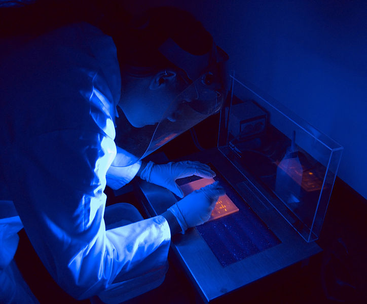 Scientist in dark room bent over looking at a petri dish