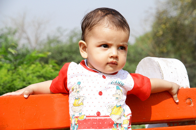 A male baby rests his arms on the top of an outdoor bench and looks into the distance.