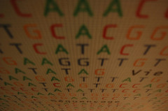 An image of the core letters found in DNA.