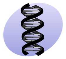 Illustrated image of double helix