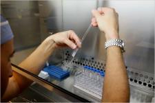 Sperm is prepared for IVF Sperm is prepared for IVF