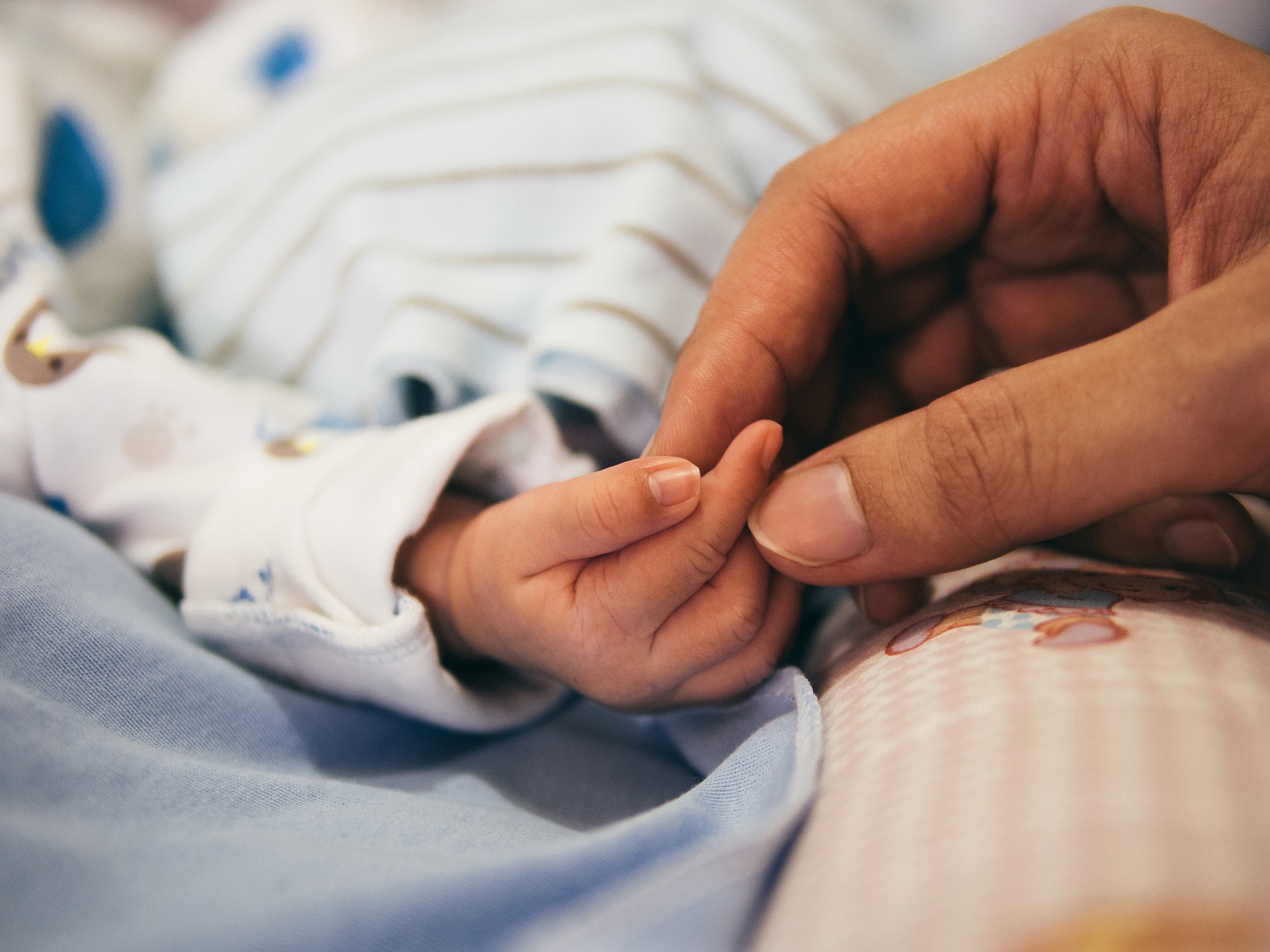 Close-up of an adult hand gently touching a baby's curled up hand.