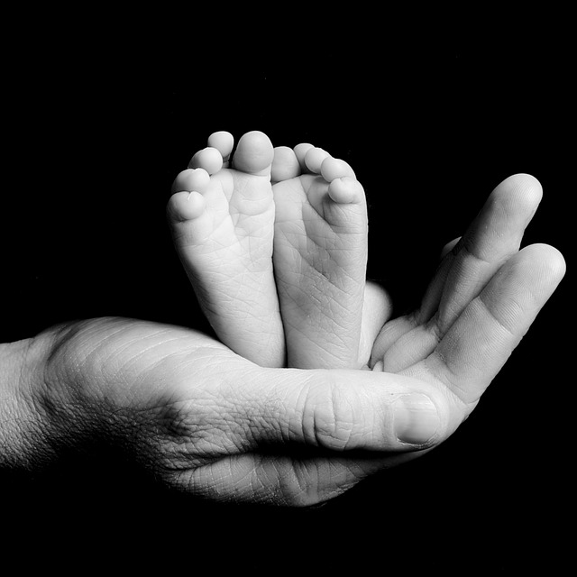 Black and white photo of the palm of an adult's hands holding a newborn's feet.