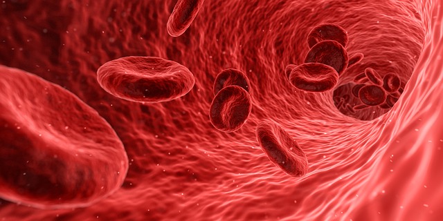 Microscopic image of red blood cells