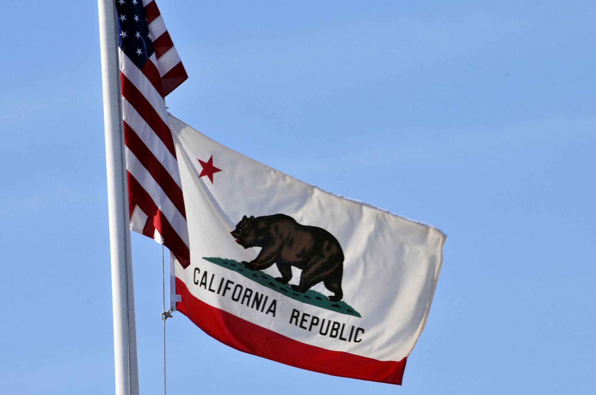 California state flag and US flag fly together in the blue sky.
