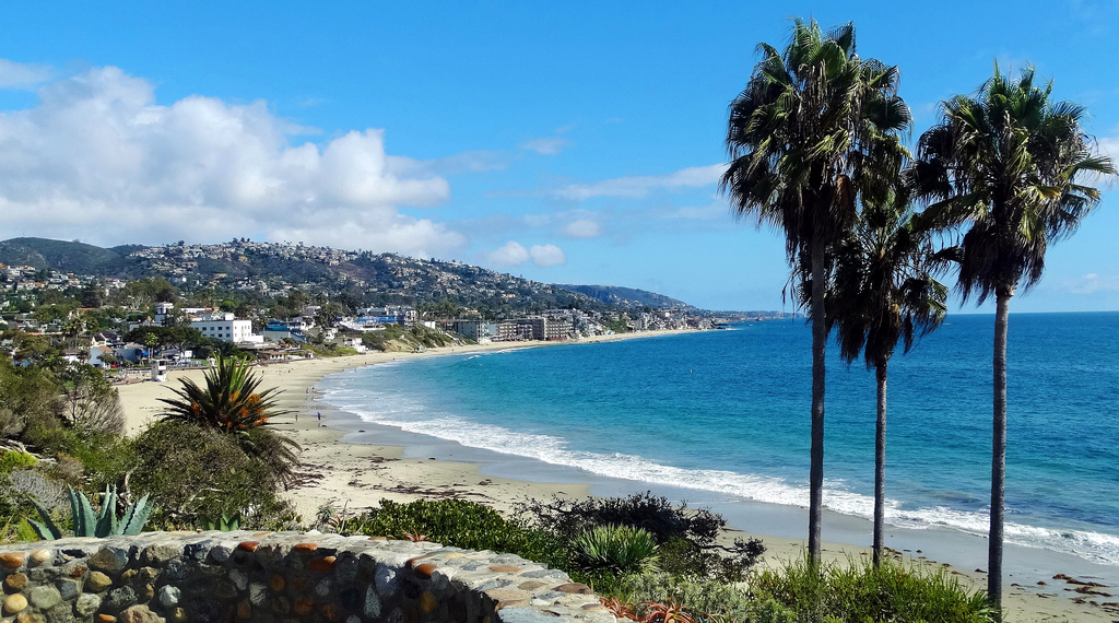 Three palm trees by the ocean in Southern California