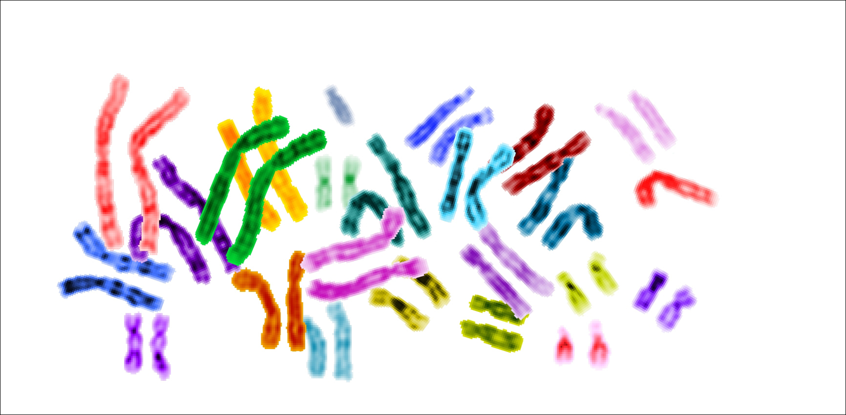 Photo of several chromosomes all dyed different colors
