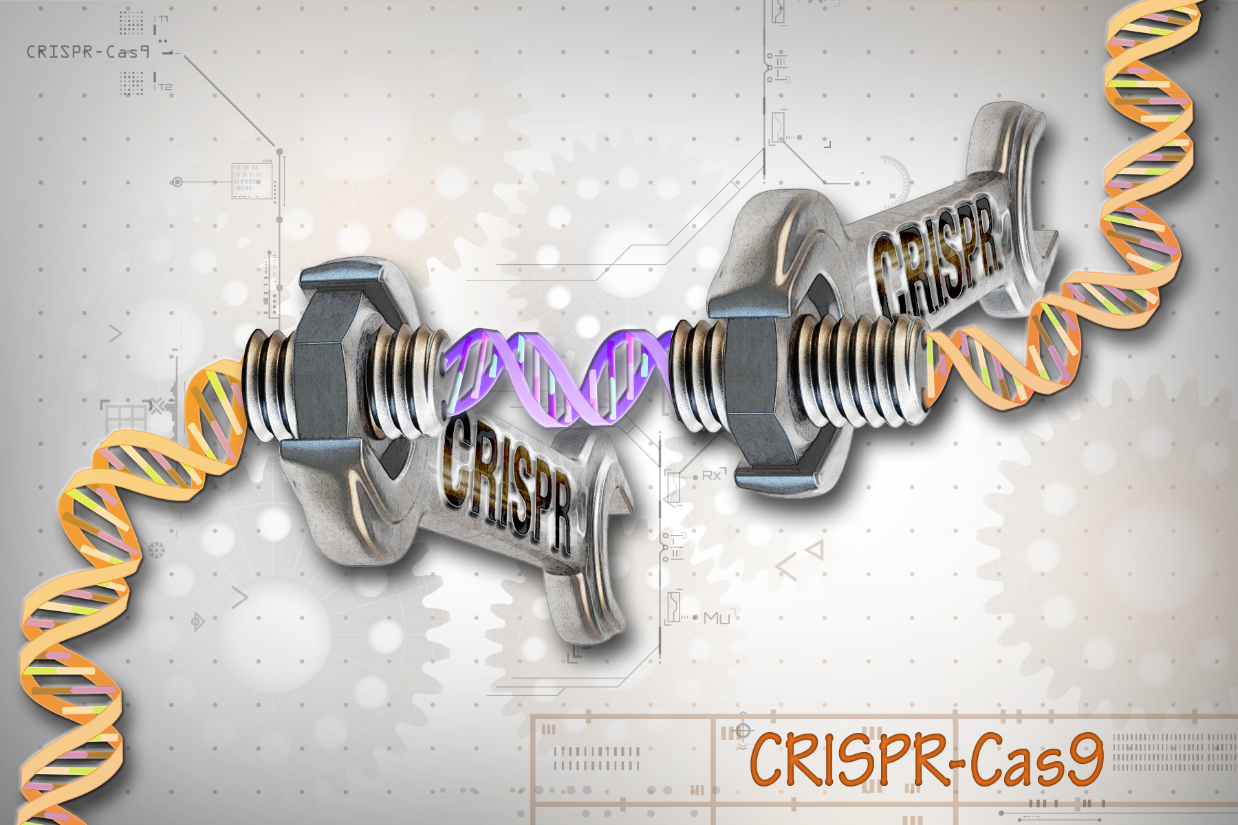 Strand of yellow DNA with two wrenches unscrewing bolts on the DNA with the word "CRISPr" on it 