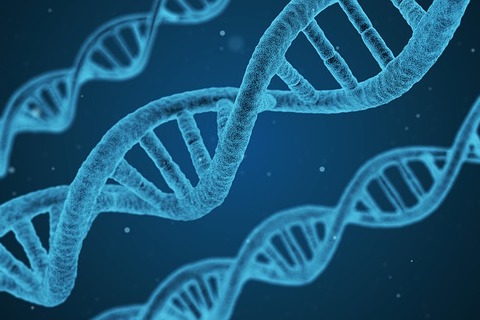 Image of a DNA strand 