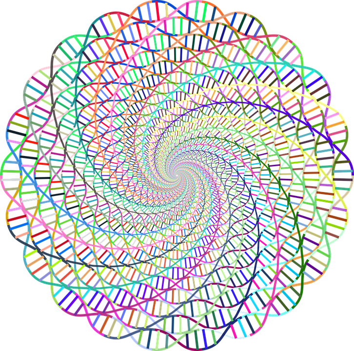 An artist's rendition of multicolored DNA strands forming a circular, mandala-like spiral.