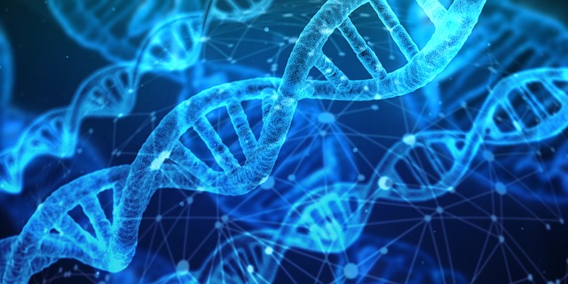 Several strands of blue DNA on a dark blue background