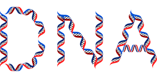 The letters D-N-A spelled out in red and blue double helices.