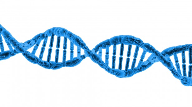 blue DNA helix