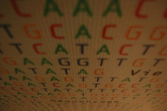 Different colored DNA letters descending down a wall