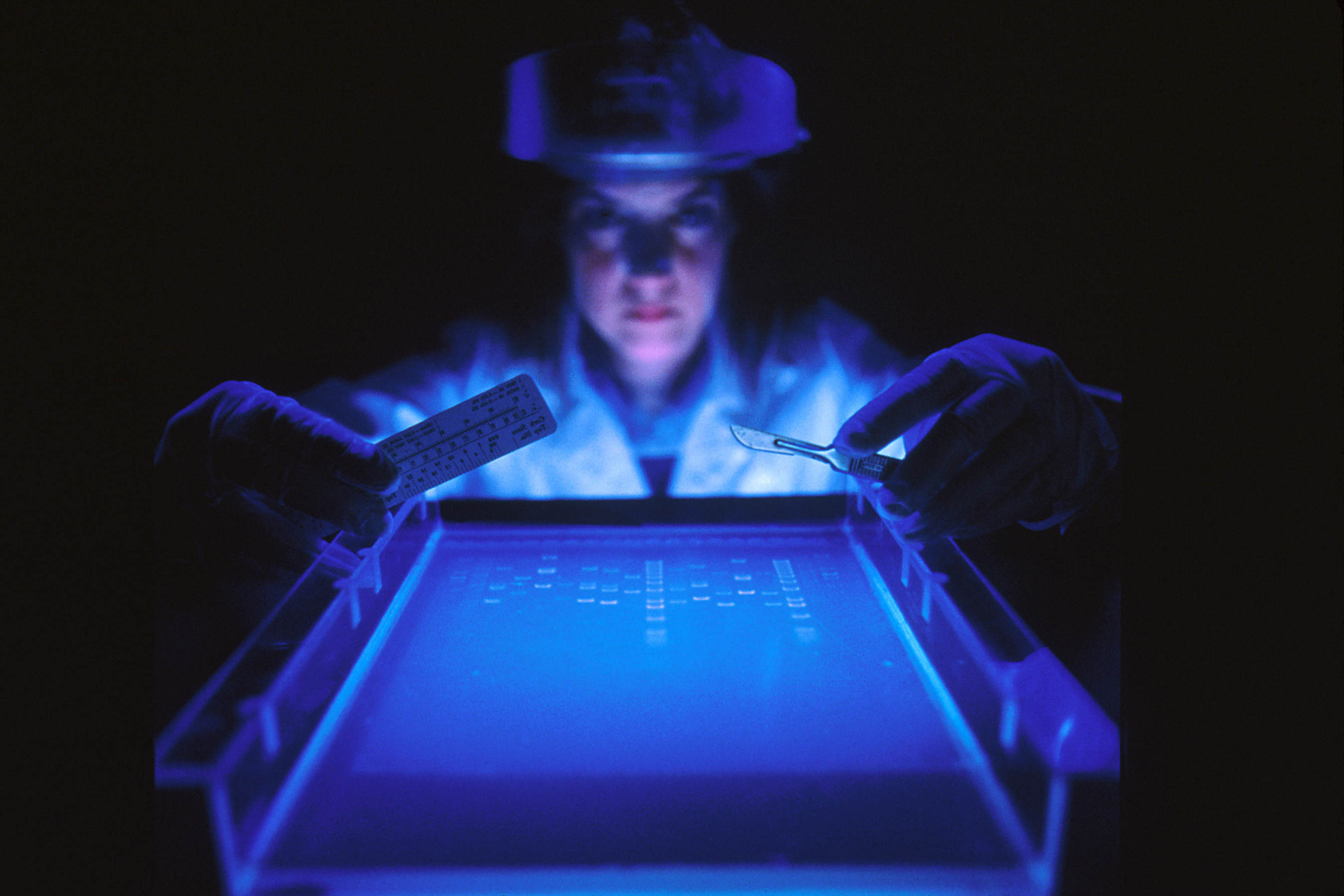 A female scientist looks closely at a dye marker on agarose gel used to separate DNA