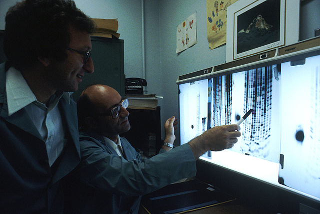 Two male scientists wearing lab coats in a laboratory looking at an illuminated board, reading the genetic code in the DNA.