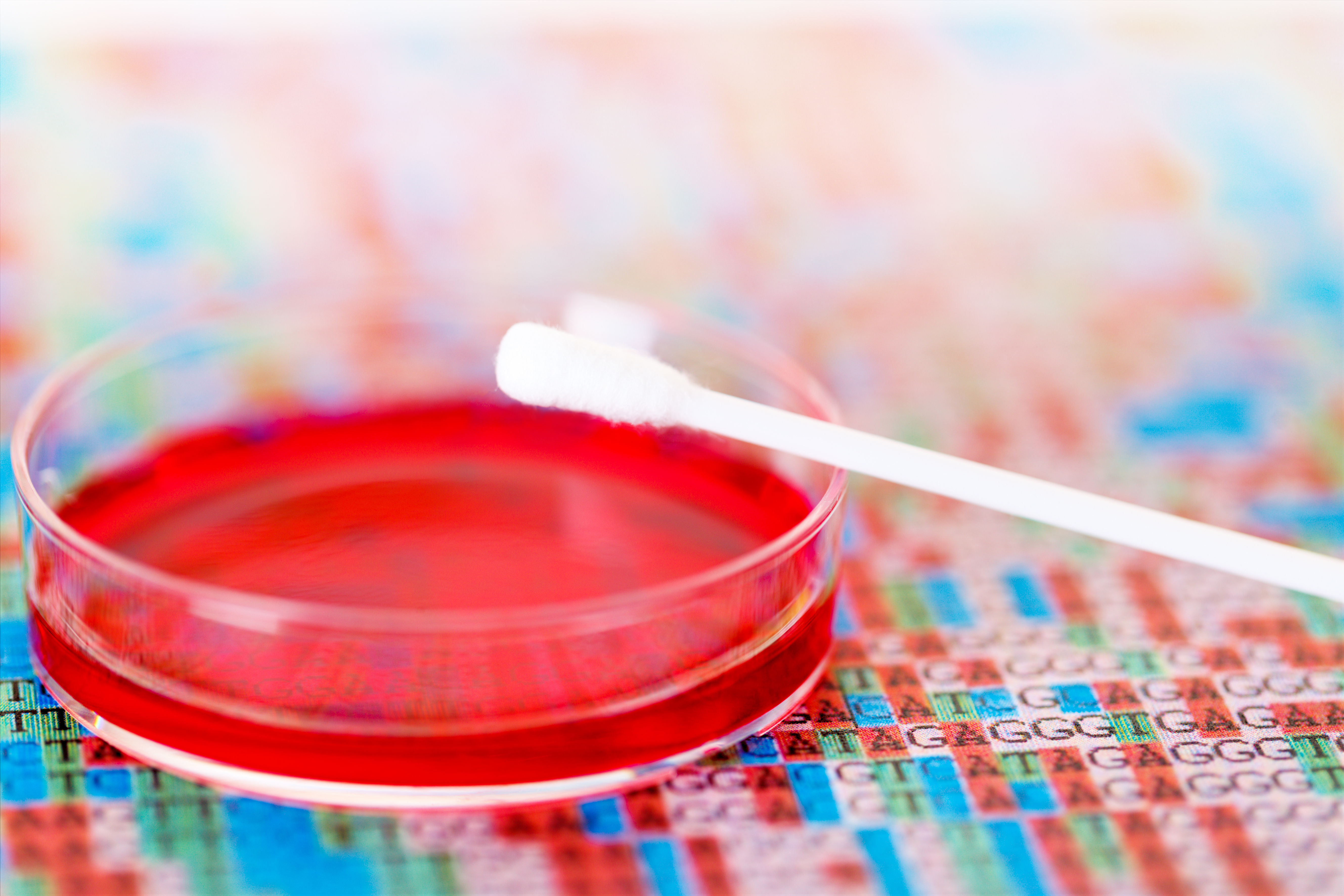a red Petri dish with a cotton swab rests on paper with GATC printed on it in multiple colors
