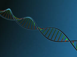 DNA body strand with blue background 