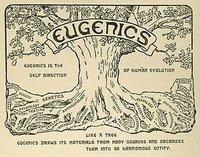 Sketch of a tree with a sign at the top that says "Eugenics"